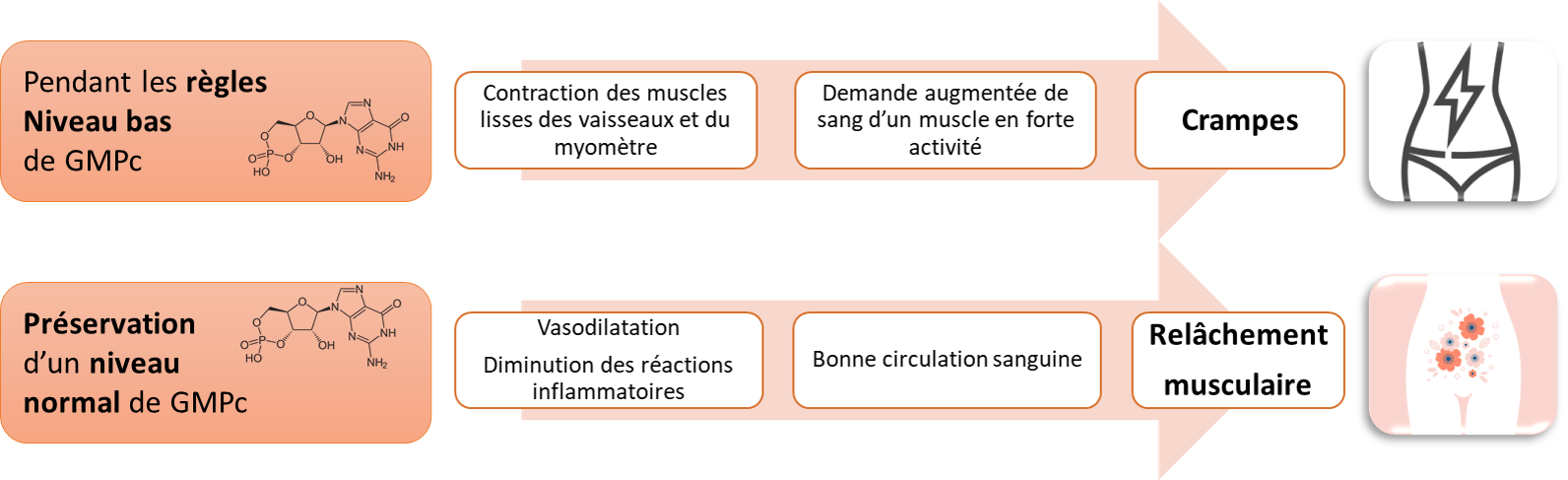 règles douloureuses